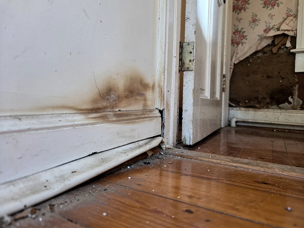 Common warning signs of water damage in Vermont homes